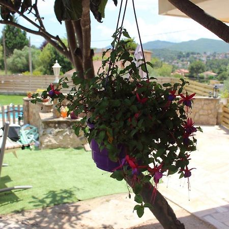Apartament Vall De Montserrat Castellbell i Vilar Dış mekan fotoğraf
